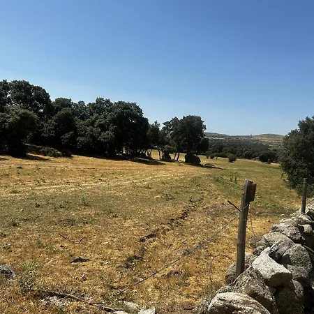 El Olivo Segovia